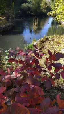 Прикрепленное изображение: PYThNrI8mCs.jpg